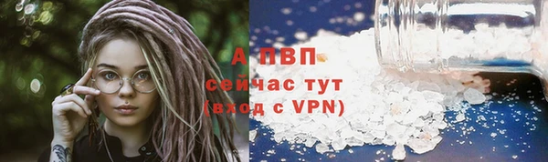 винт Ельня