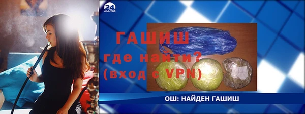 винт Ельня