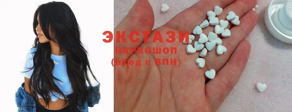 винт Ельня