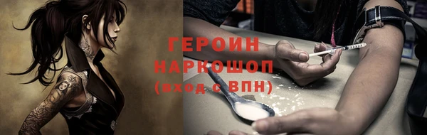винт Ельня