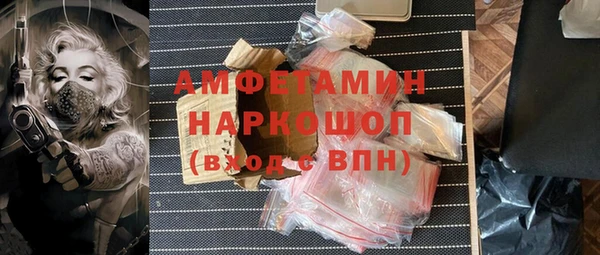 винт Ельня