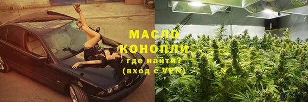 винт Ельня