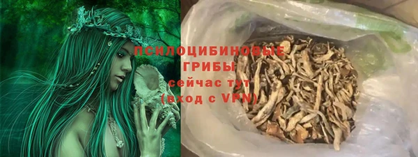 винт Ельня