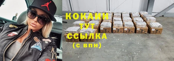 винт Ельня