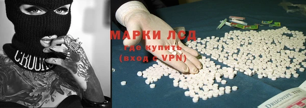 мяу мяу мука Елабуга