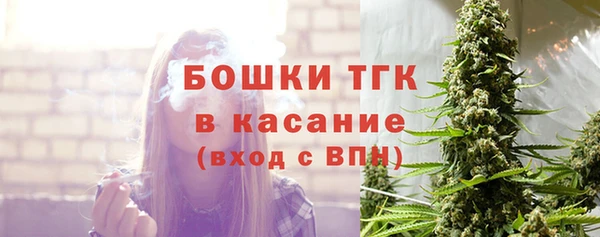 винт Ельня